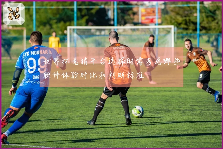 世界杯竞猜平台选择时需考虑哪些软件体验对比和判断标准