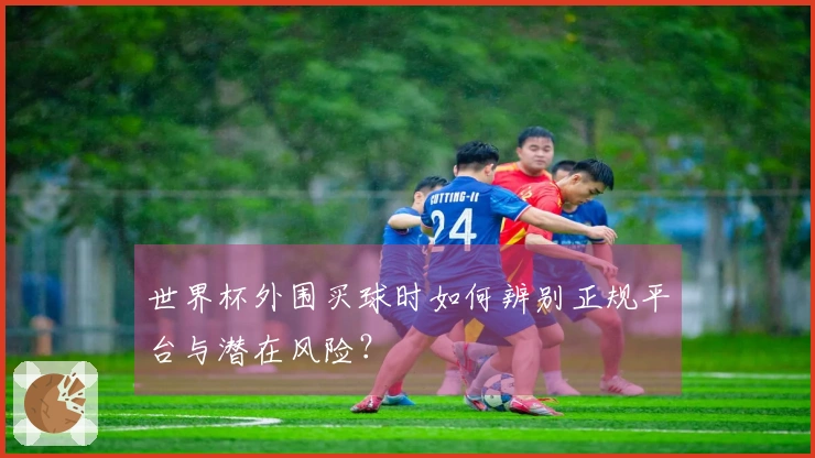 世界杯外围买球时如何辨别正规平台与潜在风险？