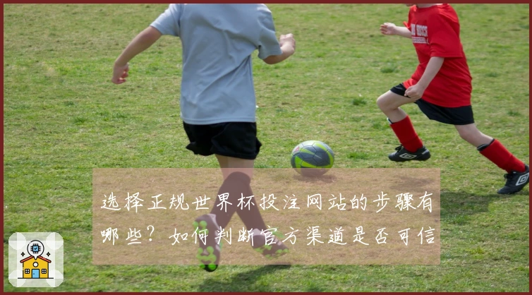 选择正规世界杯投注网站的步骤有哪些？如何判断官方渠道是否可信？