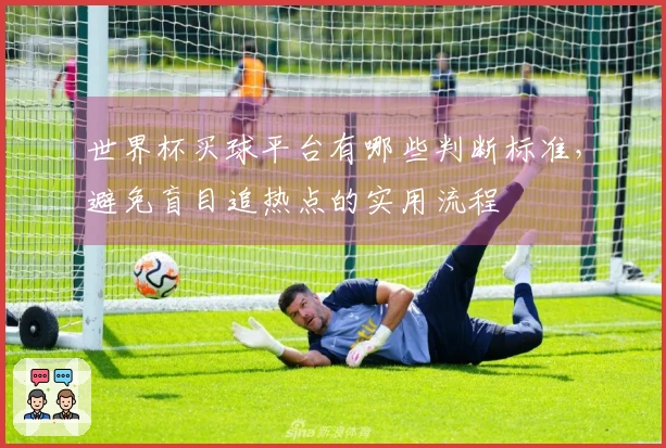世界杯买球平台有哪些判断标准，避免盲目追热点的实用流程